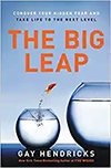 The Big Leap: Conquer Your Hidden Fear and Take Life to the Next Level book cover
