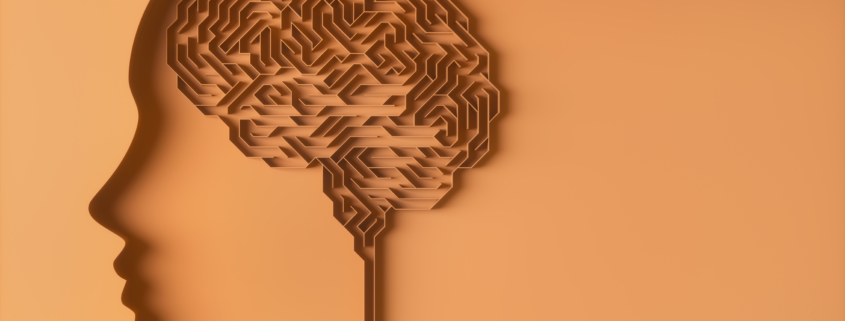 Brain Maze Cerebral Behavior